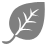 Leaf Icon